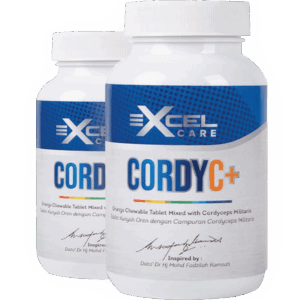Cordy C+ 2 Box