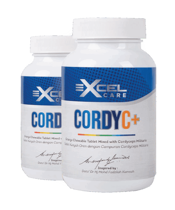 Cordy C+ 2 Box